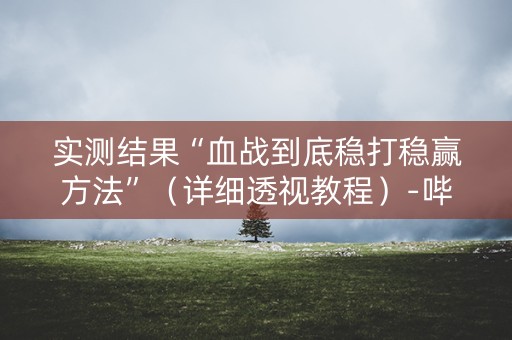 实测结果“血战到底稳打稳赢方法”（详细透视教程）-哔哩哔哩