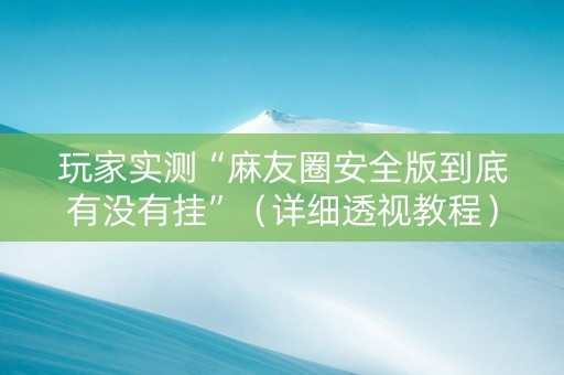 玩家实测“麻友圈安全版到底有没有挂”（详细透视教程）-哔哩哔哩