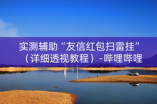 实测辅助“友信红包扫雷挂”（详细透视教程）-哔哩哔哩