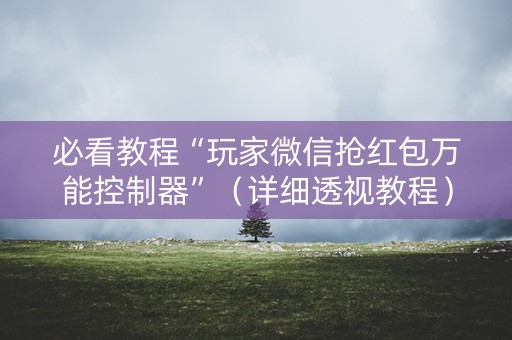 必看教程“玩家微信抢红包万能控制器”（详细透视教程）-哔哩哔哩