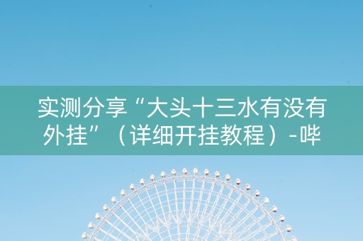 实测分享“大头十三水有没有外挂”（详细开挂教程）-哔哩哔哩
