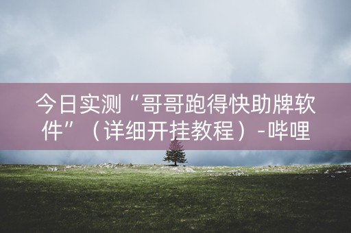 今日实测“哥哥跑得快助牌软件”（详细开挂教程）-哔哩哔哩