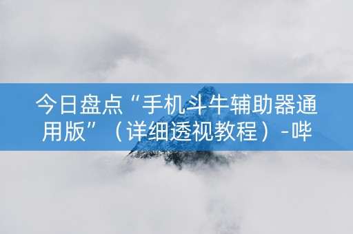 今日盘点“手机斗牛辅助器通用版”（详细透视教程）-哔哩哔哩