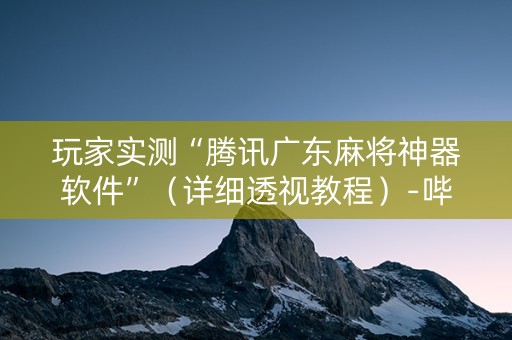 玩家实测“腾讯广东麻将神器软件”（详细透视教程）-哔哩哔哩