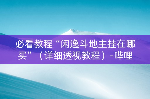 必看教程“闲逸斗地主挂在哪买”（详细透视教程）-哔哩哔哩