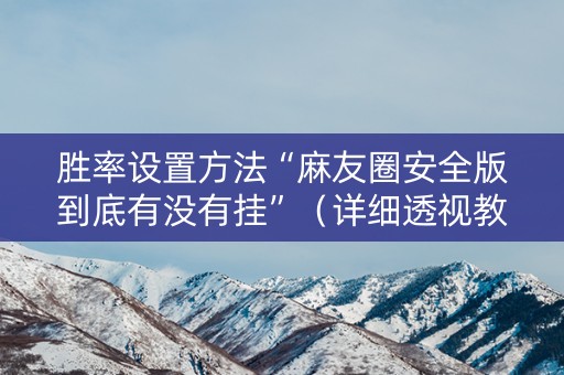 胜率设置方法“麻友圈安全版到底有没有挂”（详细透视教程）-哔哩哔哩