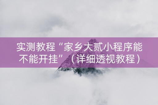 实测教程“家乡大贰小程序能不能开挂”（详细透视教程）-哔哩哔哩