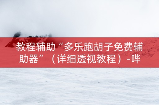 教程辅助“多乐跑胡子免费辅助器”（详细透视教程）-哔哩哔哩