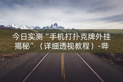 今日实测“手机打扑克牌外挂揭秘”（详细透视教程）-哔哩哔哩