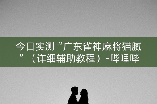 今日实测“广东雀神麻将猫腻”（详细辅助教程）-哔哩哔哩