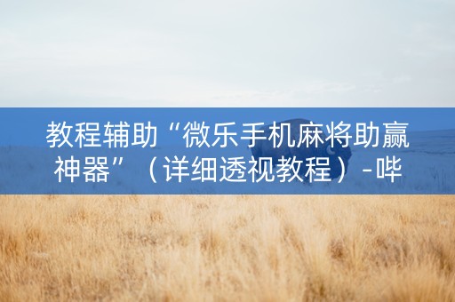 教程辅助“微乐手机麻将助赢神器”（详细透视教程）-哔哩哔哩
