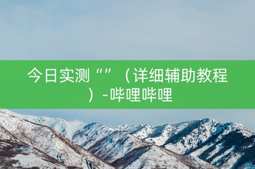 今日实测“”（详细辅助教程）-哔哩哔哩