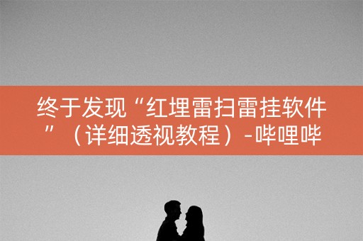 终于发现“红埋雷扫雷挂软件”（详细透视教程）-哔哩哔哩