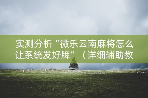 实测分析“微乐云南麻将怎么让系统发好牌”（详细辅助教程）-哔哩哔哩