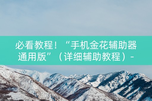 必看教程！“手机金花辅助器通用版”（详细辅助教程）-哔哩哔哩