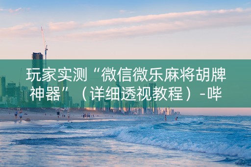 玩家实测“微信微乐麻将胡牌神器”（详细透视教程）-哔哩哔哩