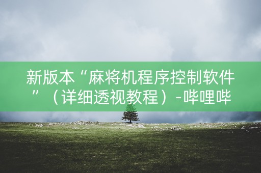 新版本“麻将机程序控制软件”（详细透视教程）-哔哩哔哩