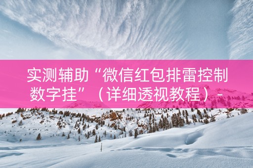 实测辅助“微信红包排雷控制数字挂”（详细透视教程）-哔哩哔哩