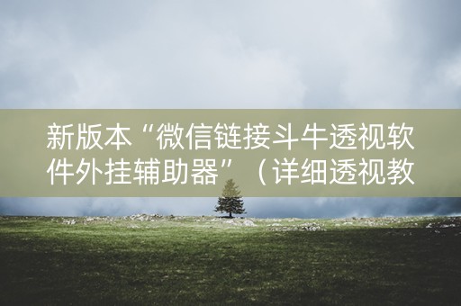 新版本“微信链接斗牛透视软件外挂辅助器”（详细透视教程）-哔哩哔哩