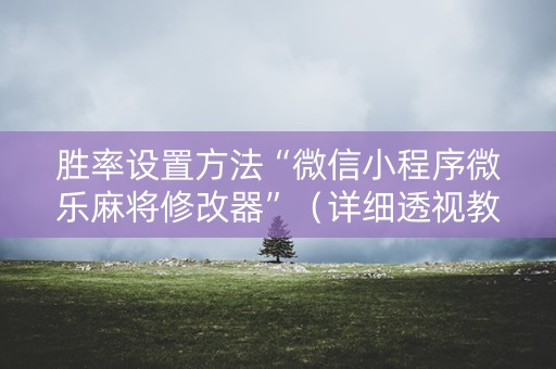 胜率设置方法“微信小程序微乐麻将修改器”（详细透视教程）-哔哩哔哩