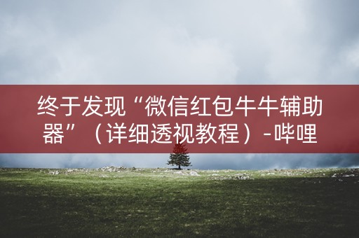 终于发现“微信红包牛牛辅助器”（详细透视教程）-哔哩哔哩