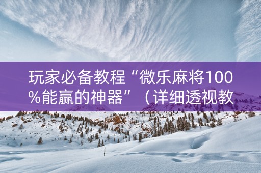 玩家必备教程“微乐麻将100%能赢的神器”（详细透视教程）-哔哩哔哩