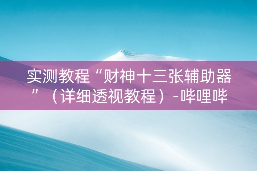 实测教程“财神十三张辅助器”（详细透视教程）-哔哩哔哩