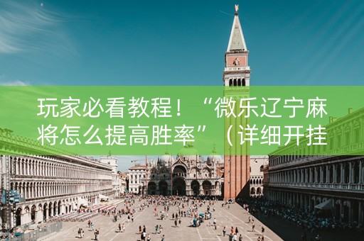 玩家必看教程！“微乐辽宁麻将怎么提高胜率”（详细开挂教程）-哔哩哔哩