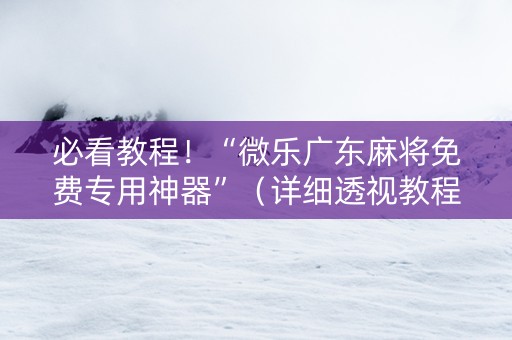 必看教程！“微乐广东麻将免费专用神器”（详细透视教程）-哔哩哔哩