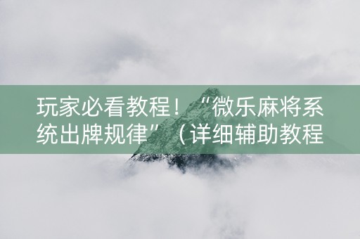 玩家必看教程！“微乐麻将系统出牌规律”（详细辅助教程）-哔哩哔哩