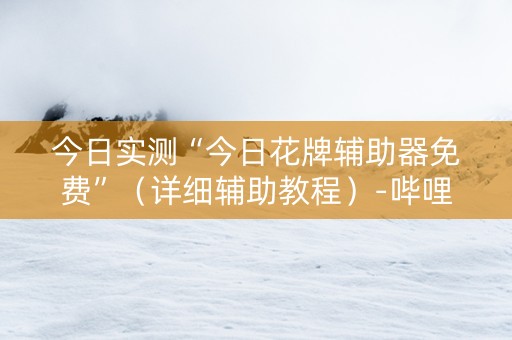 今日实测“今日花牌辅助器免费”（详细辅助教程）-哔哩哔哩