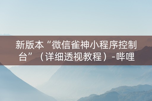 新版本“微信雀神小程序控制台”（详细透视教程）-哔哩哔哩