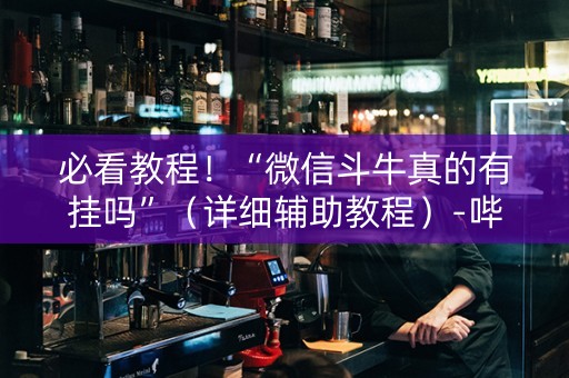 必看教程！“微信斗牛真的有挂吗”（详细辅助教程）-哔哩哔哩