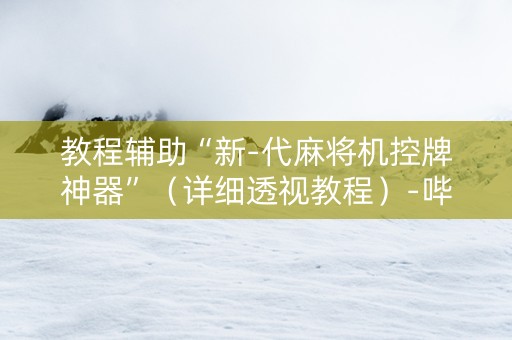教程辅助“新-代麻将机控牌神器”（详细透视教程）-哔哩哔哩