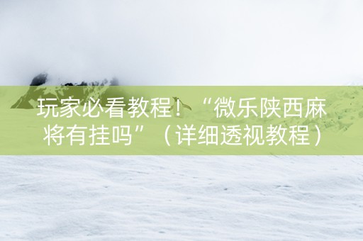 玩家必看教程！“微乐陕西麻将有挂吗”（详细透视教程）-哔哩哔哩