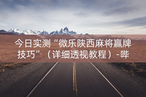 今日实测“微乐陕西麻将赢牌技巧”（详细透视教程）-哔哩哔哩