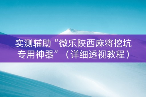 实测辅助“微乐陕西麻将挖坑专用神器”（详细透视教程）-哔哩哔哩