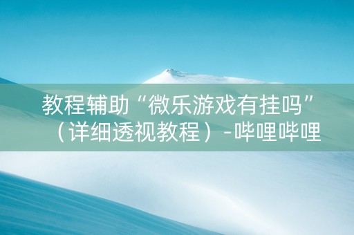 教程辅助“微乐游戏有挂吗”（详细透视教程）-哔哩哔哩