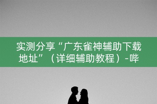 实测分享“广东雀神辅助下载地址”（详细辅助教程）-哔哩哔哩