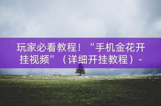 玩家必看教程！“手机金花开挂视频”（详细开挂教程）-哔哩哔哩