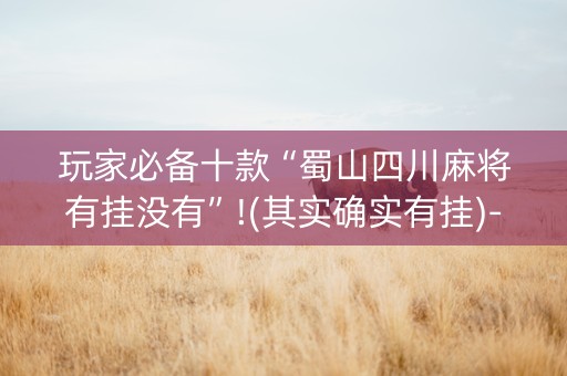 玩家必备十款“蜀山四川麻将有挂没有”!(其实确实有挂)-知乎