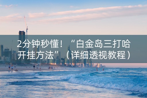 2分钟秒懂！“白金岛三打哈开挂方法”（详细透视教程）-哔哩哔哩