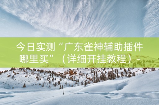 今日实测“广东雀神辅助插件哪里买”（详细开挂教程）-哔哩哔哩