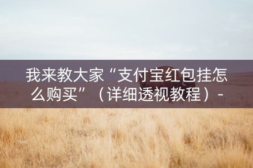 我来教大家“支付宝红包挂怎么购买”（详细透视教程）-哔哩哔哩