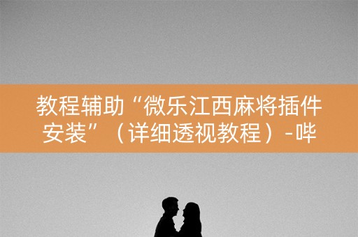教程辅助“微乐江西麻将插件安装”（详细透视教程）-哔哩哔哩