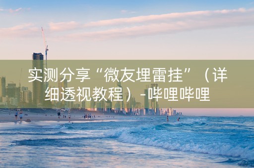 实测分享“微友埋雷挂”（详细透视教程）-哔哩哔哩