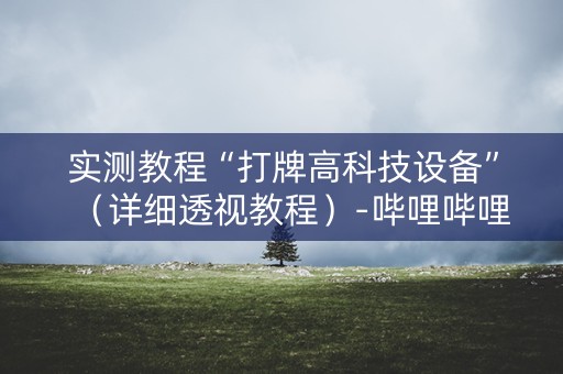 实测教程“打牌高科技设备”（详细透视教程）-哔哩哔哩