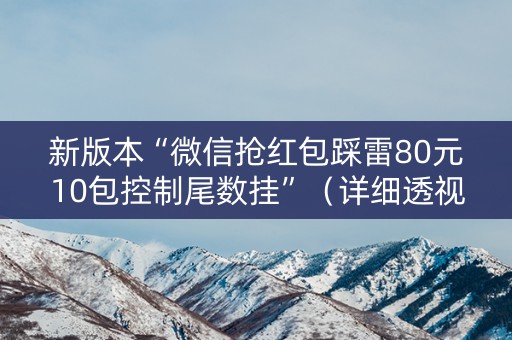 新版本“微信抢红包踩雷80元10包控制尾数挂”（详细透视教程）-哔哩哔哩