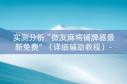 实测分析“微友麻将铺牌器最新免费”（详细辅助教程）-哔哩哔哩
