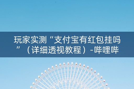 玩家实测“支付宝有红包挂吗”（详细透视教程）-哔哩哔哩